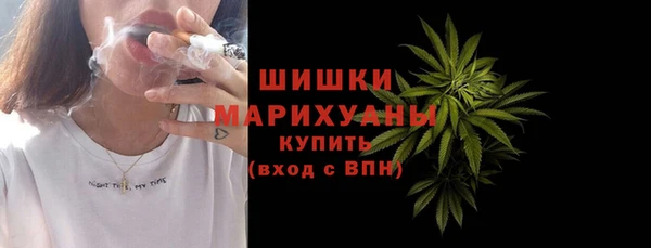 твердый Козельск