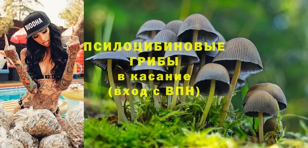 альфа пвп Козловка