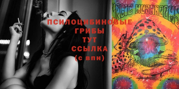 альфа пвп Козловка
