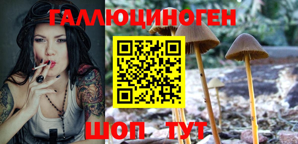 Красноперекопск  Галлюциногенные грибы прущие грибы  Вход с VPN 