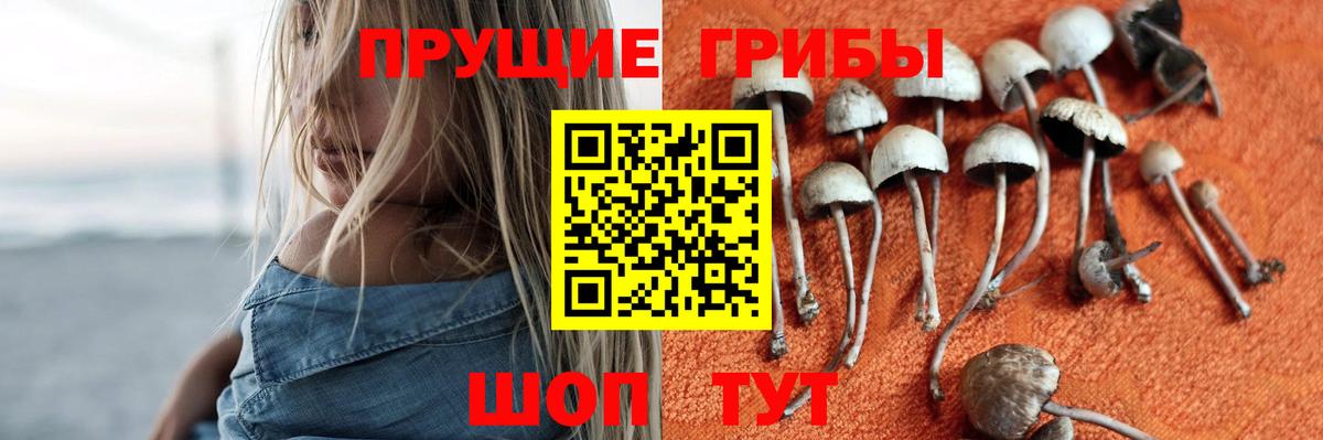Галлюциногенные грибы GOLDEN TEACHER Красноперекопск